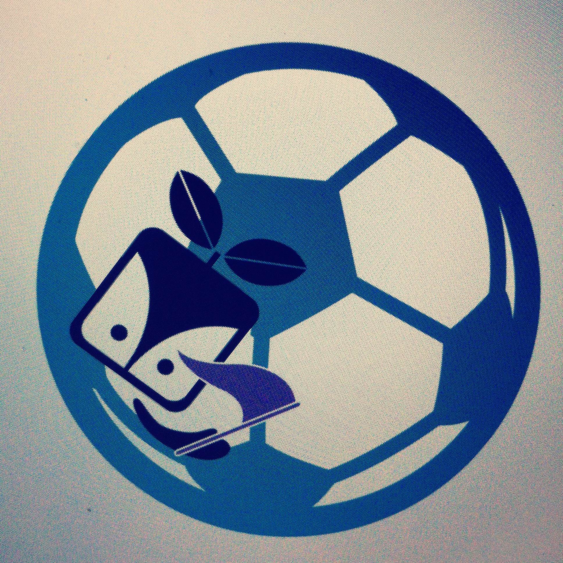 EURO 2012 badge